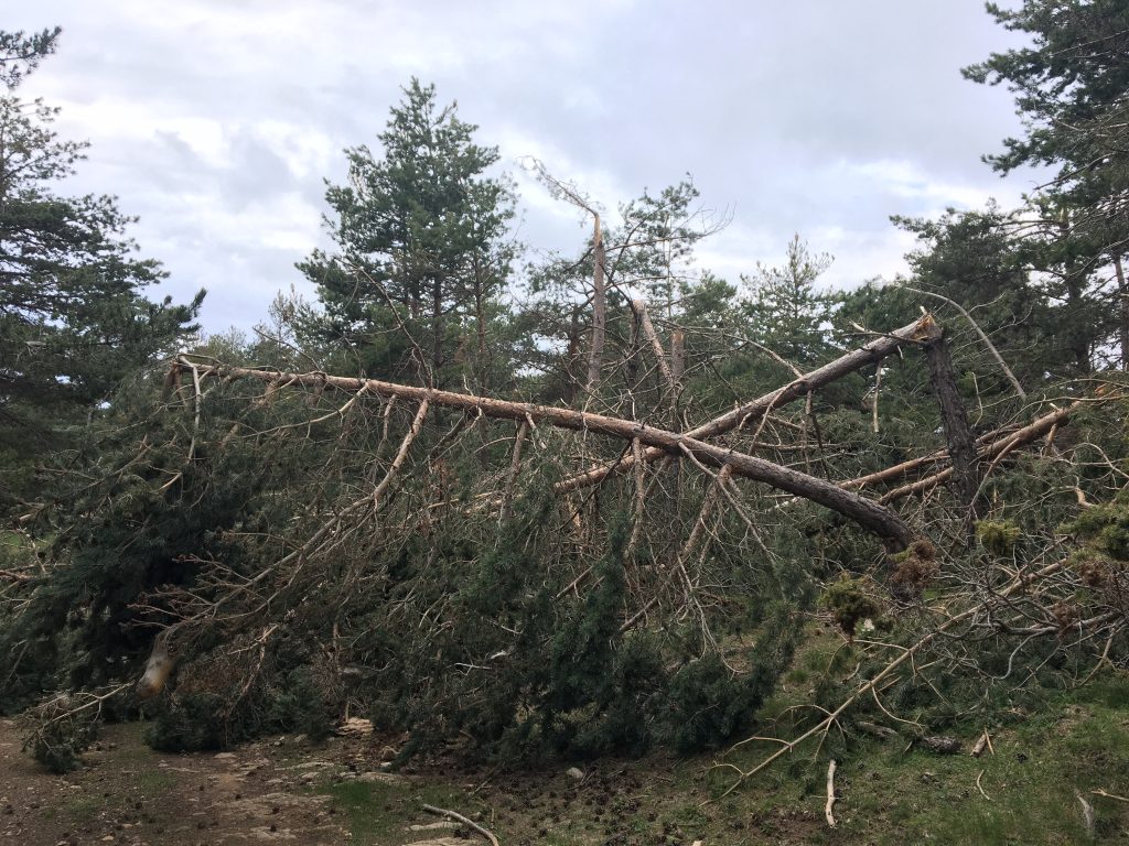 nevada-molt-alta-1024x768